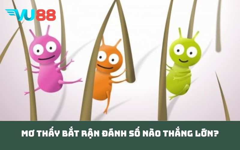 Mơ Thấy Bắt Rận đánh số nào thắng lớn?