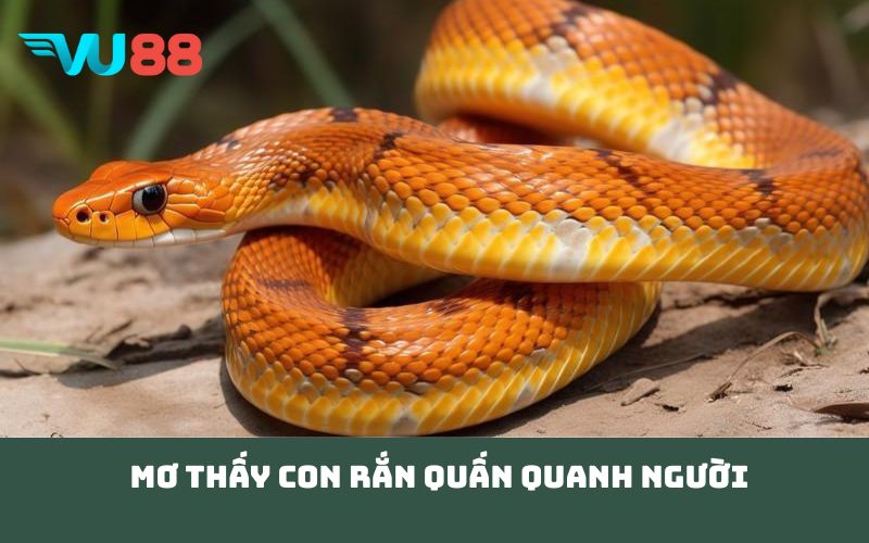 Mơ thấy con rắn quấn quanh người