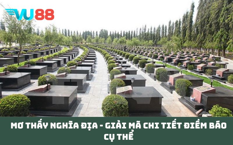 Mơ thấy nghĩa địa - Giải mã chi tiết điềm báo cụ thể