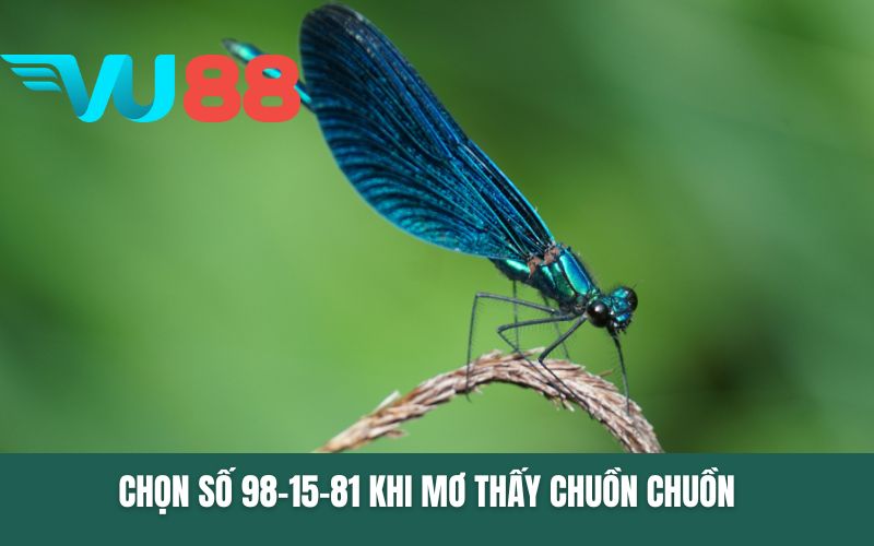 Chọn số 98-15-81 khi mơ thấy chuồn chuồn