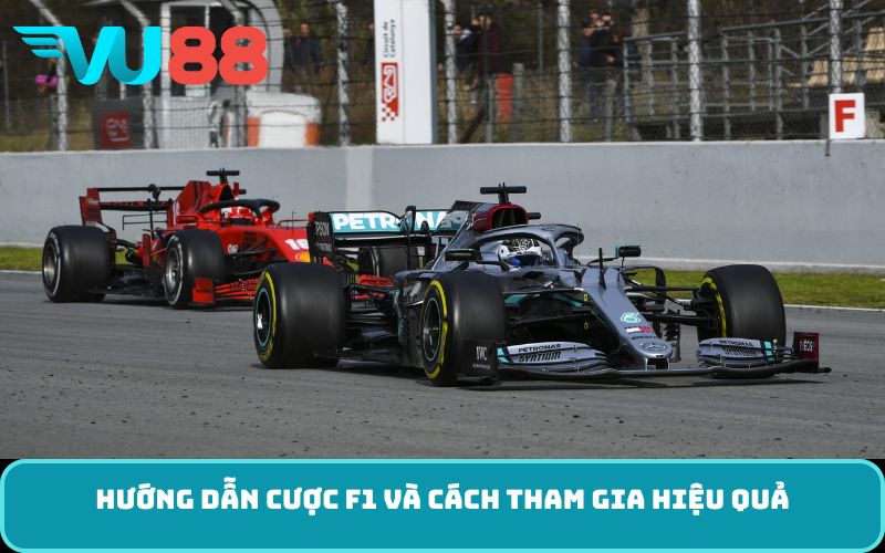 Hướng dẫn cược F1 và cách tham gia hiệu quả