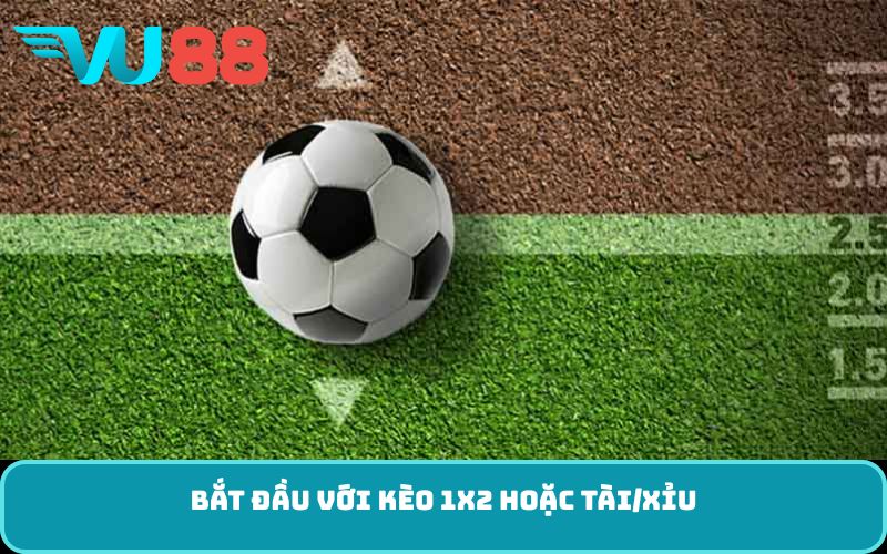 Bắt đầu với kèo 1X2 hoặc Tài/Xỉu