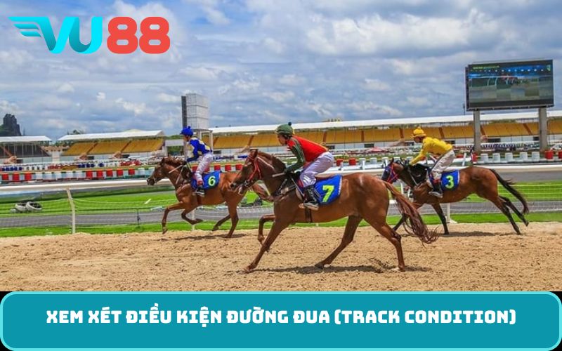 Xem xét điều kiện đường đua (Track condition)