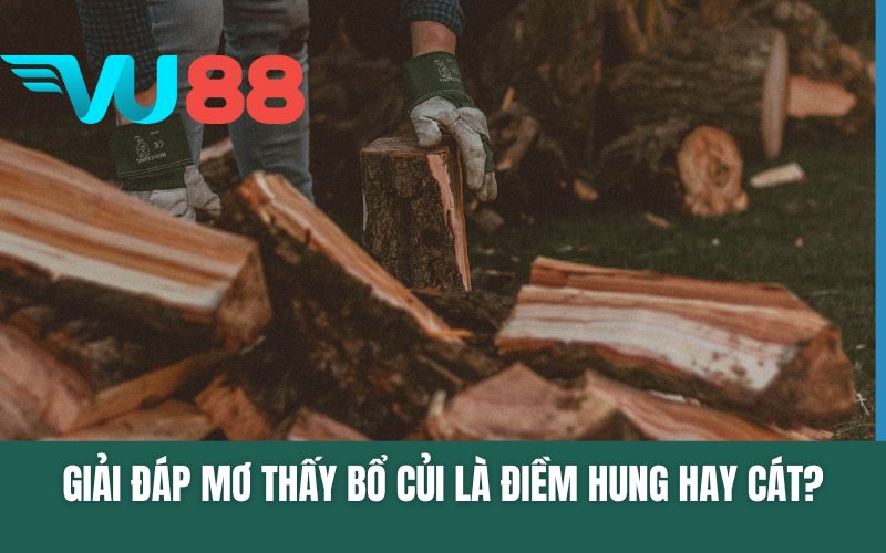 Giải Đáp Mơ Thấy Bổ Củi Là Điềm Hung Hay Cát