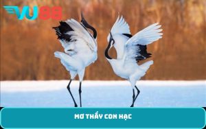 Mơ thấy con hạc