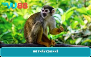 Mơ thấy con khỉ