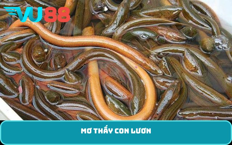 mơ thấy con lươn