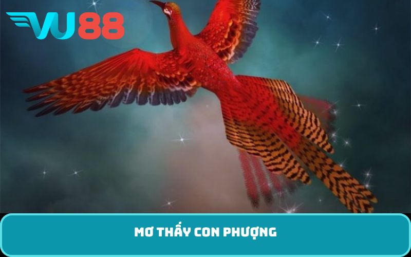 mơ thấy con phượng