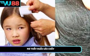 Mơ thấy ngồi gãi chấy