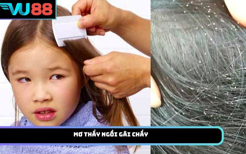 Mơ thấy ngồi gãi chấy